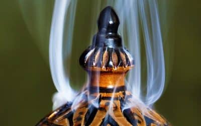 Purification de Votre Environnement de Vie